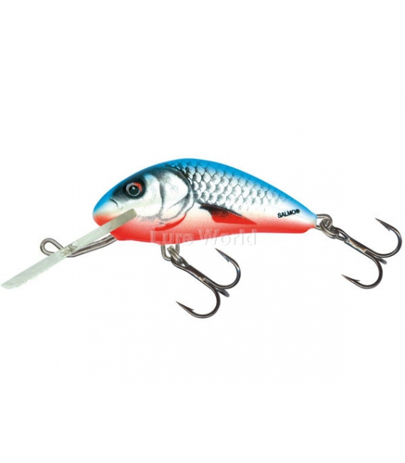 Salmo Hornet 3F - floating, 3.5cm - Colour Options Available