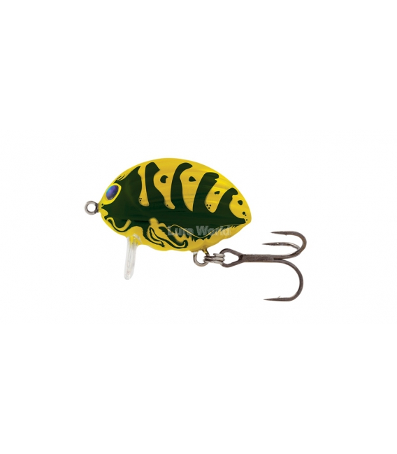 Salmo Lil' Bug 2F - floating, 2cm - Colour Options Available