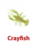 Crayfish